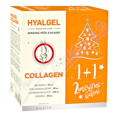 Hyalgel COLLAGEN vánoční balení 2x500ml