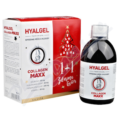 Hyalgel Collagen MAXX vánoční balení