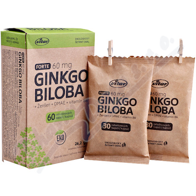 VITAR Ginkgo biloba 60mg+DMAE+vit.B6 EKO